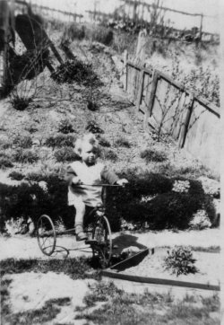 Sid aged about 2 on trike, Parkdale Road, Plumstead. 1929. 
